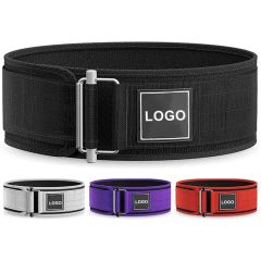 Lumbar Support with Plastic Back Support Back Support Belt - Image 2