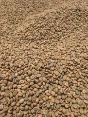 VIETNAM ROBUSTA COFFEE GRADE 1 S16 & S18 – product photo 5, product detail gallery