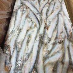 Hot Sale Frozen Capelin Fish - Image 1