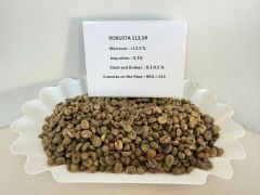 coffee Arabica - Robusta - Image 2
