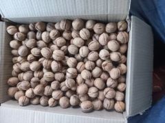 Azerbaijani Walnuts - Image 3