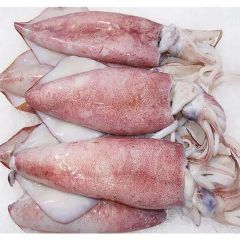 New Arrival High Quality Frozen Illex Squid IQF 3-5cm Mason Jar Packaging 12 Months Shelf Life. - Image 1