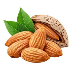 High Quality Almonds Natural Raw Almonds Wholesale Bulk Supplier for Global Export - Image 2