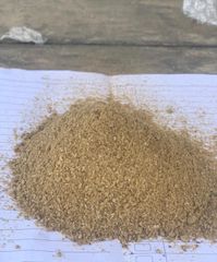 Fish Meal - Image 3