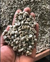 Coffee beans Arabica and Robusta  Grade AAA & GG Shape 20, 18, - Image 2
