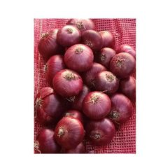 NEW crop 100 mm Fresh Golden yellow and Red Onion SUPER Quality VERY COMPETITIVE Prices – product photo 1, product detail gallery