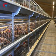 Factory Price Automatic Good Quality Chicken Cage Poultry Feeding Equipment - Image 3
