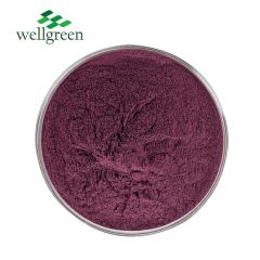 High Quality Acai Berry Juice Powder Fruit Flavor Powder Acai Berry Powder - Image 3