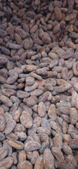 Dry cocoa beans – product photo 1, product detail gallery