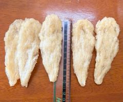 Premium Dried Fish Maw (Pangasianodon hypophthalmus) – 100% Natural, Naturally Dried, Signature Mango Leaf Shape - Image 1