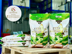 Vietnam ST25 rice jasmine rice japonica rice for all importers in the world crop 2024 - Image 5