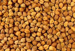 Kabuli Chickpeas - Image 1