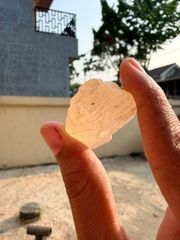 Gum Damar Indonesia - Image 4