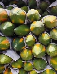 Papaya, melon, watermelon – product photo 2, product detail gallery