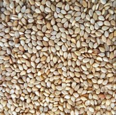 Sesame seed – product photo 3, product detail gallery