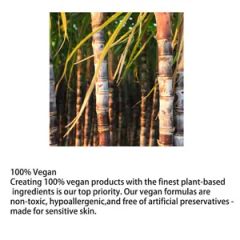 Natural Antioxidant Green Tea Face Mist Customized Logo - Image 5