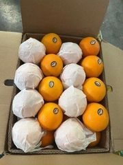 Fresh Oranges – product photo 3, product detail gallery