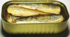 Canned Sardine In Vegetable Oils / Sardine/Tuna/Mackerel - Image 1