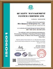 ISO9001 certificate from Win Balance International Trade Co., Ltd