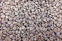 Brazilian Arabica Green Coffee Exporter – Available Stock – Tailored Quality – FOB Santos, Brazil - Image 3
