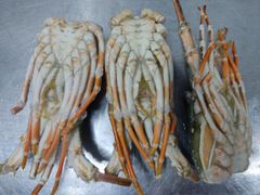 Lobster Tails – product photo 4, product detail gallery