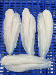 Frozen Pangasius Fillet - Image 1