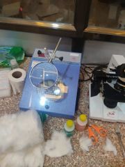 Lab Digital Colony Counter Color Blue Size Customized Weight Customized Display Type Digital Usage/Application - Ashankhya Enviro Chem Private Limited