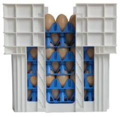 Fresh Brown Chicken Eggs Wholesale Supply – product photo 4, product detail gallery