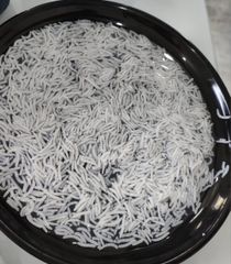 1121 Basmati Rice – product photo 2, product detail gallery