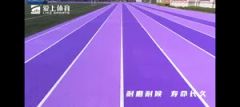 Through Multiple Checks Long-Lasting Color Rubber Running Track for Tournament - Image 6
