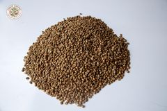 ROBUSTA SCREEN 15 - Image 1