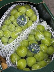 Premium Korean Shine Muscat Grapes – product photo 5, product detail gallery