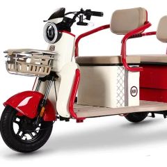 8 Inch Wholesale Price Three Wheel Electric Tricycle 500 650 800W 30km H Speed Adult Electric Tricycle - Wuxi Qisheng Automotive Technology Co., Ltd