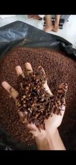Cloves (Zanzibar) - Image 1
