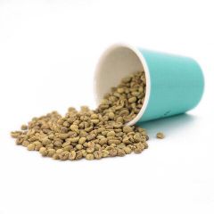 Robusta Coffee Beans – Kerinci Origin – Premium Export Quality - Image 3