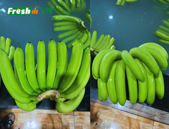 Fresh Cavendish Banana from Vietnam – Export Premium Quality – product photo 3, product detail gallery