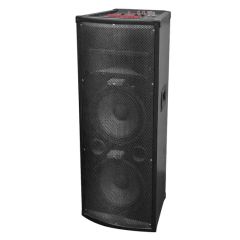 Wireless Microphone Speaker 10 Inch Bluetooth Party Speaker - Image 2