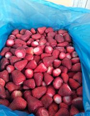 Premium IQF Frozen Fruits & Vegetables 🍓🥦 (Wholesale Bulk Export) - Image 1
