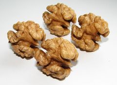 High Quality Walnut Kernels Selected For Great Taste Fresh Texture And Everyday Use In Cooking Baking - Image 1
