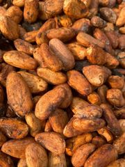 Sun Dried Cocoa Beans Whassapp +237671503419 - Image 3