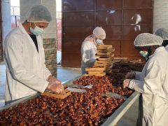 Egyptian Wahat Dates - Image 5