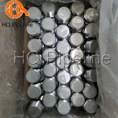 Stainless Steel SS316L NPT/Bsp Threaded Bushings Forged Fittings - Image 4
