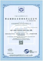 Occupational Health and Safety Management System Certification Certificate certificate from Henan Yangbo Lightning Protection Technology Co., Ltd.