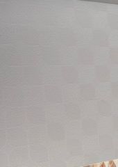 Grid False Ceiling Services Grid Material GI Location Pan India Tile Size 600 x 600 mm Ceiling Type Lay In Tile Service Type Installation + - Image 7