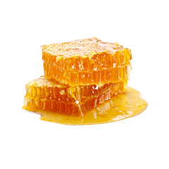 Organic Honey available for sale at wholesale price for global buyers - Image 2