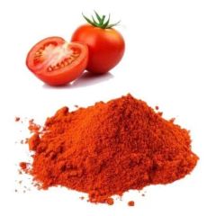 Premium Dehydrated Tomato Powder from India – Natural Food Ingredient for Bulk Export - Image 2