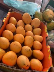 Premium Fresh Mango With Juicy Natural Flavor Sweet Taste And Fresh Quality For Retail Markets And Fruit Sellers - Image 5