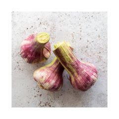 Premium Quality Wholesale Fresh Peeled Garlic For Sale In Cheap Price - Image 1