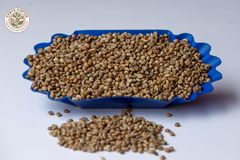 ROBUSTA AND ARABICA COFFEE BEANS - Image 3