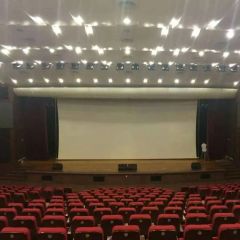 Large Size Electric Projector Screen/Big Motorized Projection Screen (LES300V) - Image 5